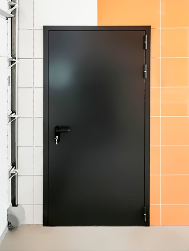 Глухая дверь для школы Олимпийского резерва (ул.16-я Парковая) Глухая дверь для школы Олимпийского резерва (ул.16-я Парковая)