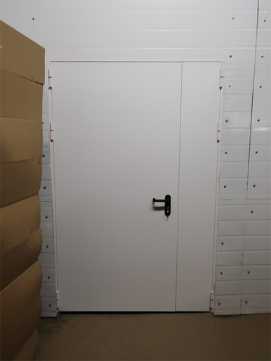 Полуторастворчатая дверь, вид спереди (г. Люберцы) Полуторастворчатая дверь, вид спереди (г. Люберцы)