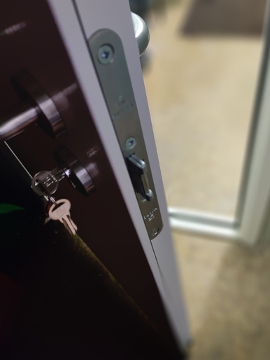 Замок двери (офисное здание, пр-т Техника) Замок двери (офисное здание, пр-т Техника)