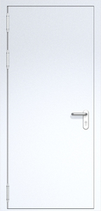 Однопольная глухая дверь ДС-1 с маятниковыми петлями (ручки «хром»)