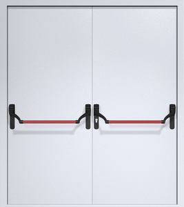 Двупольная дверь ДМП-2 Антипаника с рисунком