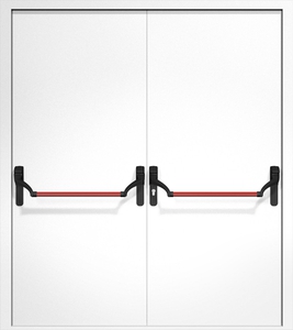 Двупольная дверь ДМП-2 Антипаника с рисунком