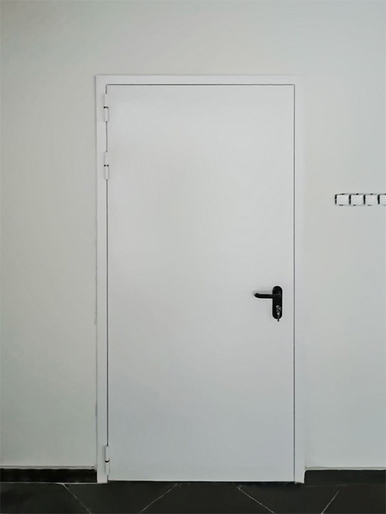 Однопольная дверь для колледжа (г. Королёв) Однопольная дверь для колледжа (г. Королёв)