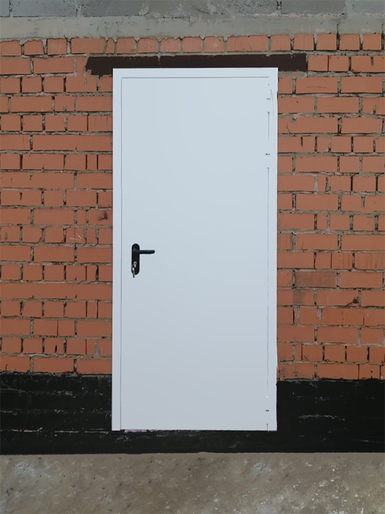 Однопольная дверь, вид с улицы (г. Люберцы) Однопольная дверь, вид с улицы (г. Люберцы)