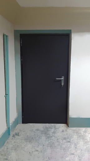 Однопольная дверь, вид спереди (ул. Хользунова) Однопольная дверь, вид спереди (ул. Хользунова)